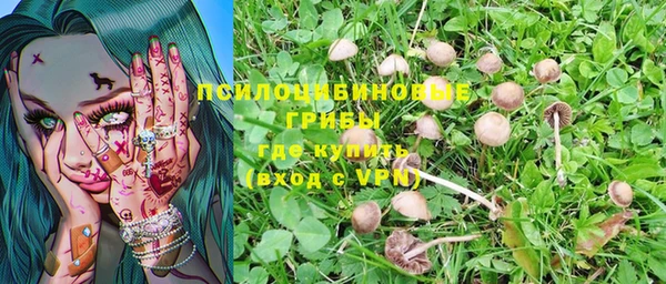 Альфа ПВП Алексин