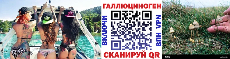 Галлюциногенные грибы GOLDEN TEACHER  Жуков 