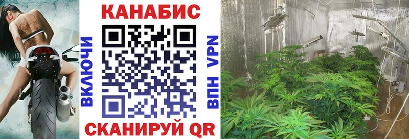 Марихуана THC 21%  Жуков 